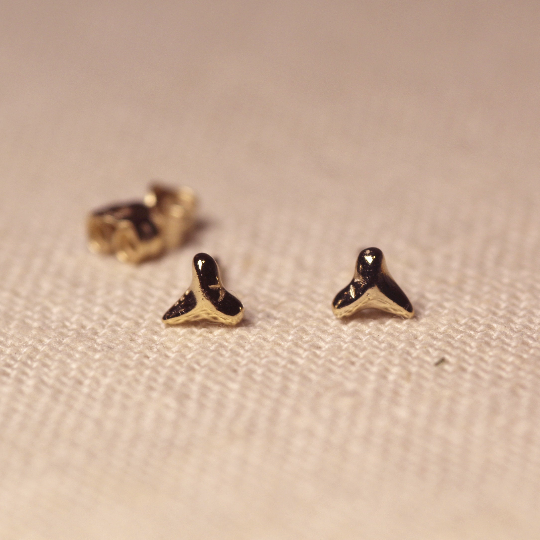 14k Solid Gold - Small Shark Tooth Post Earrings.